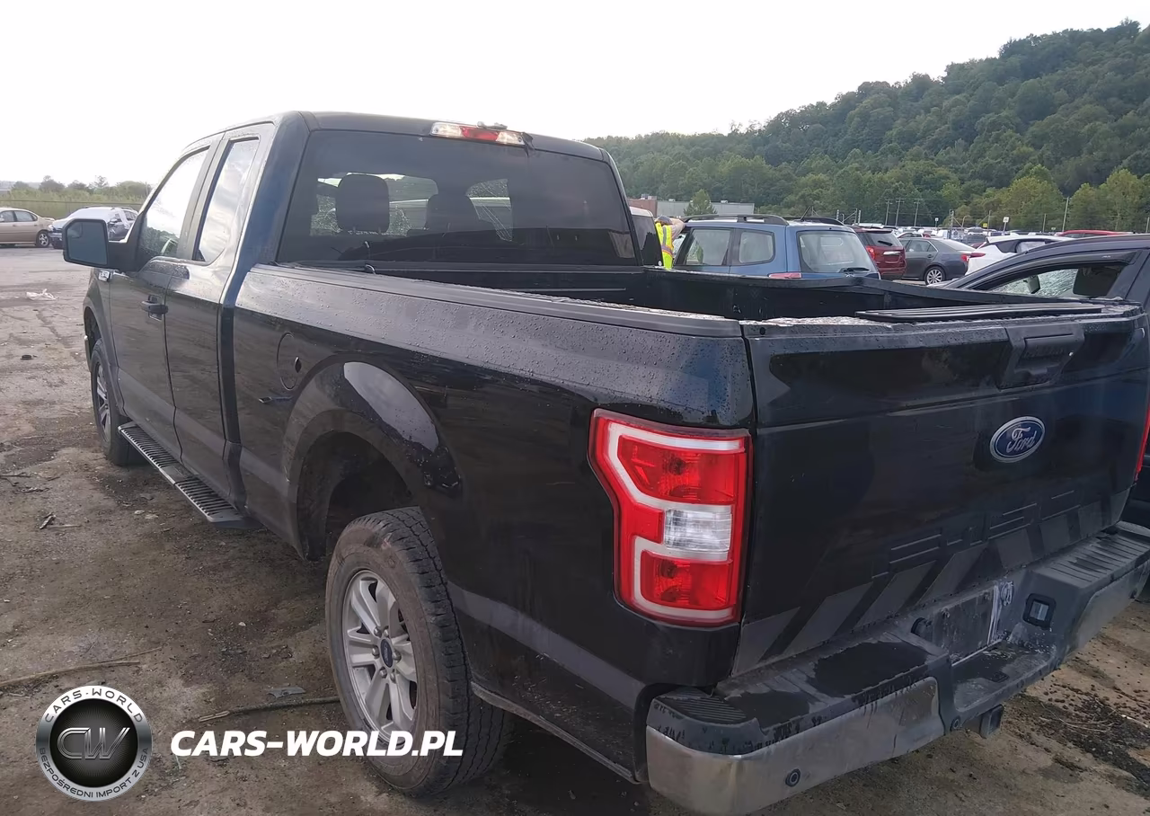 2020 Ford F-150 Xl VIN:1FTEX1EB7LFB37231 - 3
