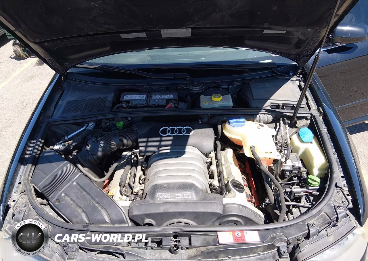 2005 Audi A4 3.0 VIN:WAULT68E15A024362 - 10