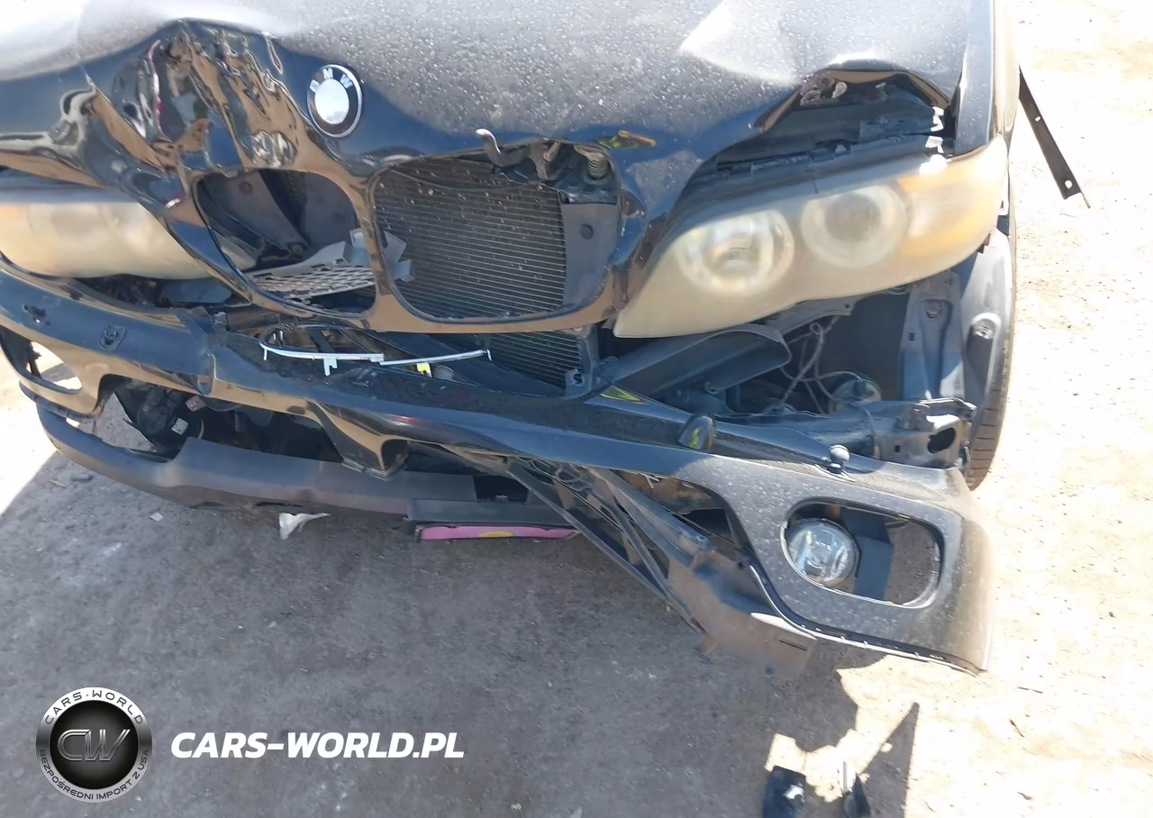 2004 BMW X5 4.4I VIN:5UXFB53554LV06046 - 18