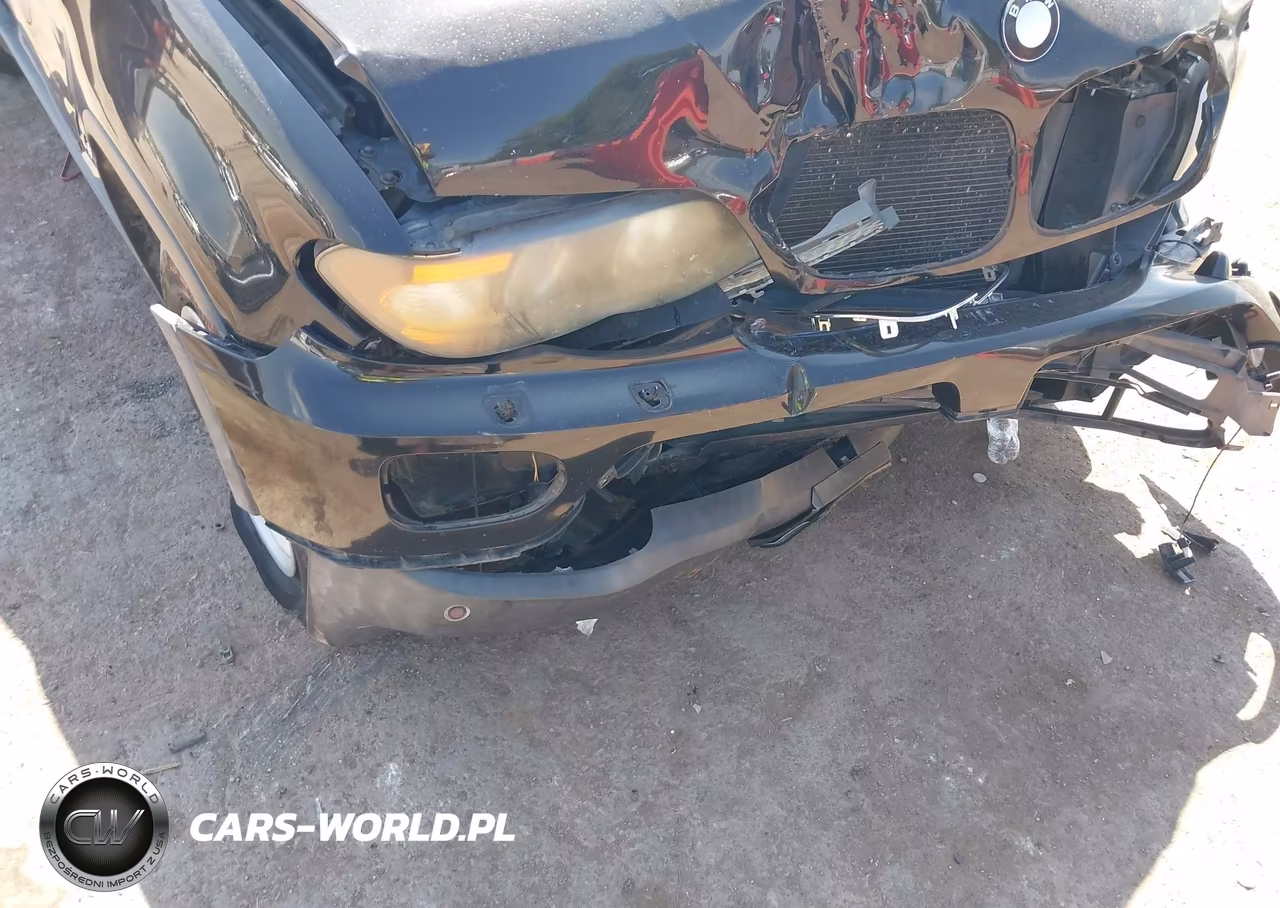 2004 BMW X5 4.4I VIN:5UXFB53554LV06046 - 19