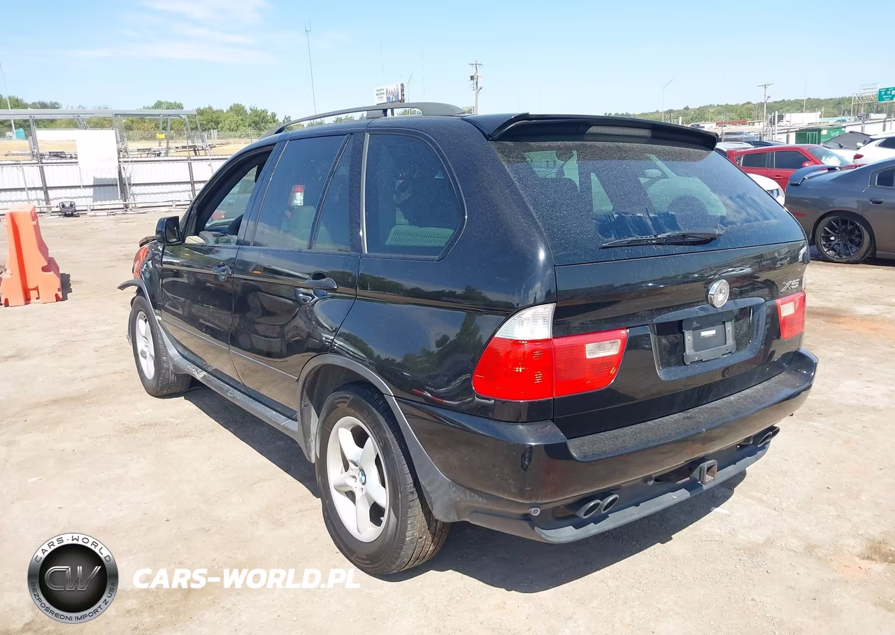 2004 BMW X5 4.4I VIN:5UXFB53554LV06046 - 3