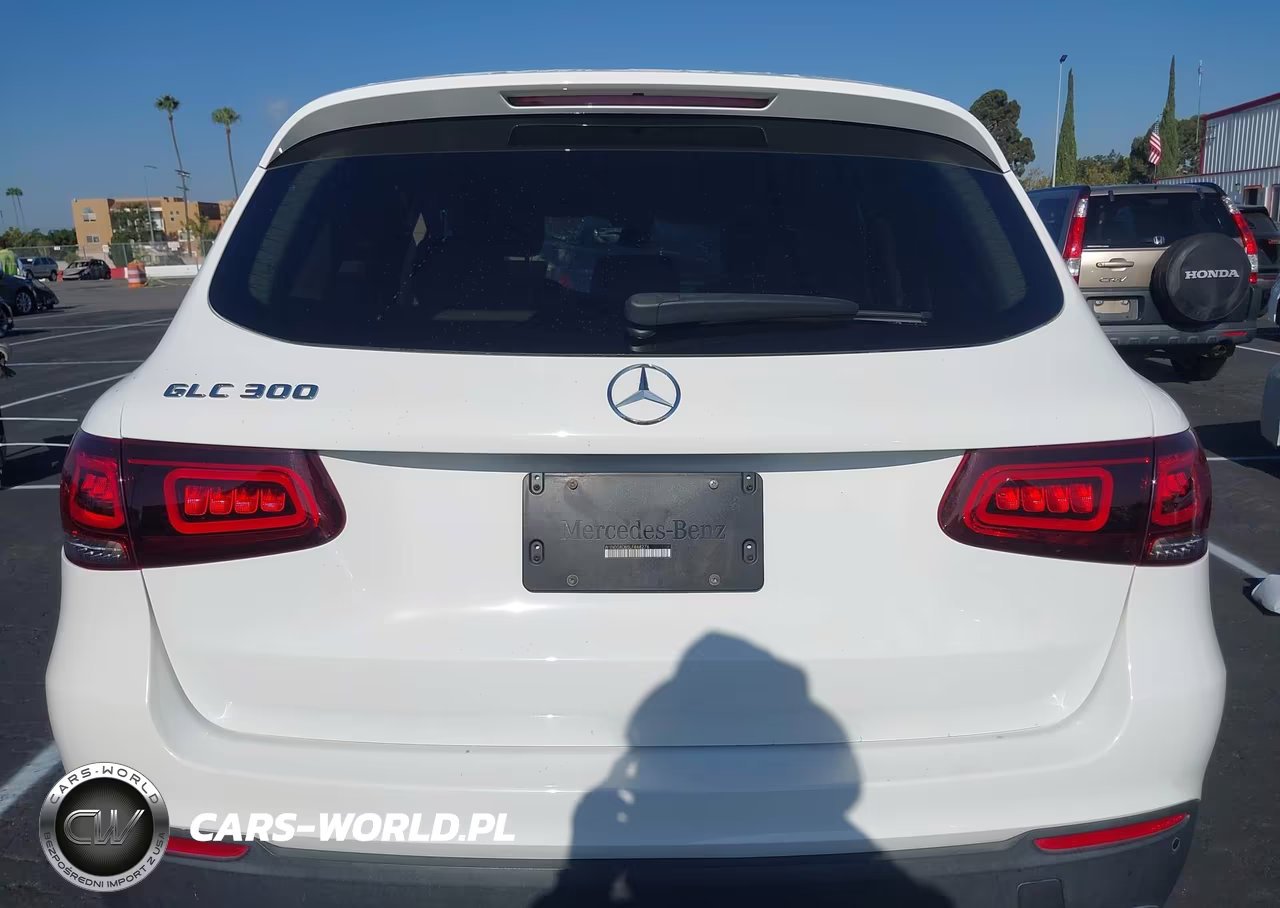 2020 Mercedes-Benz Glc 300 VIN:W1N0G8DB5LF848276 - 17