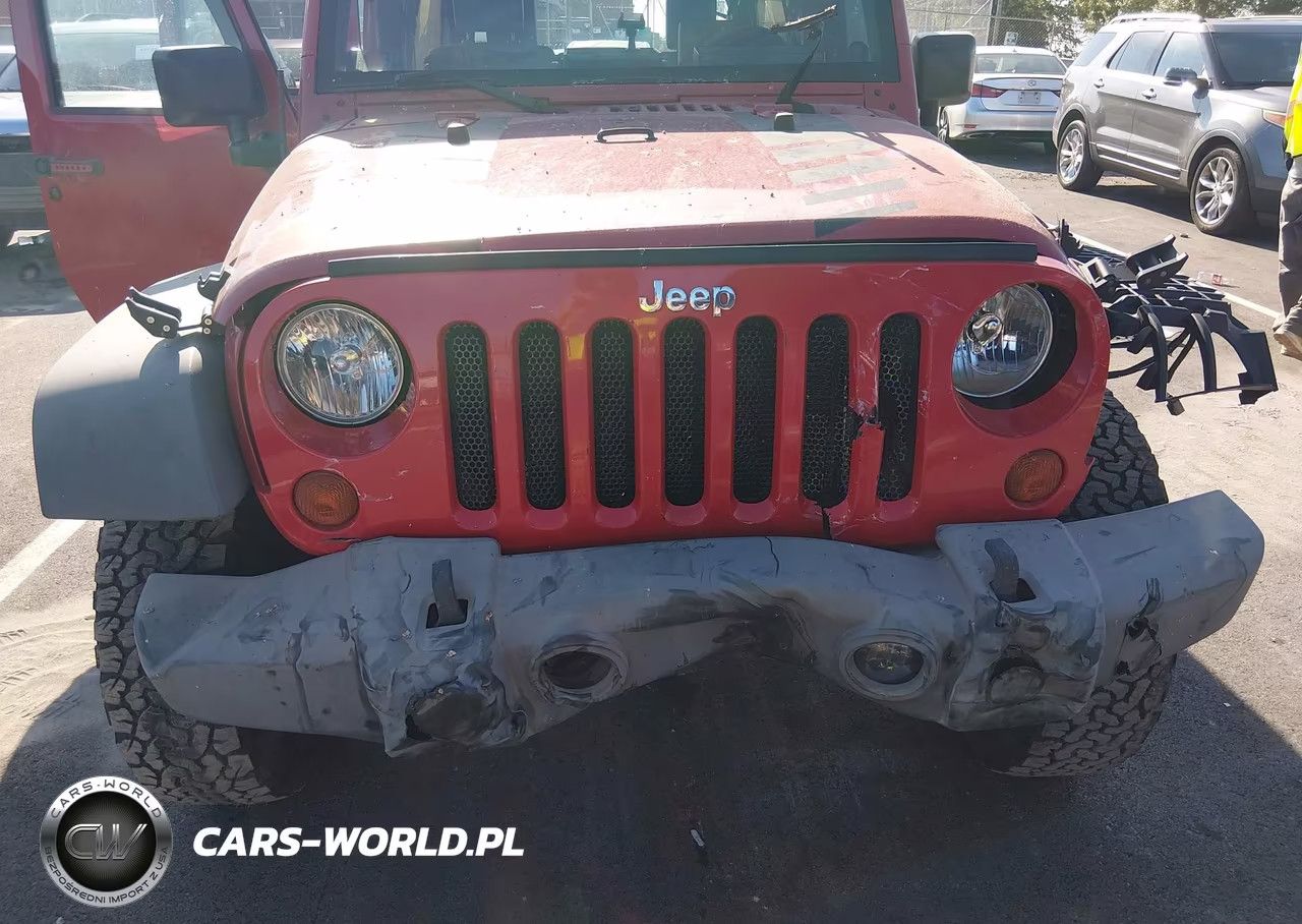 2009 Jeep Wrangler Unlimited Rubicon VIN:1J8GA69169L709983 - 12