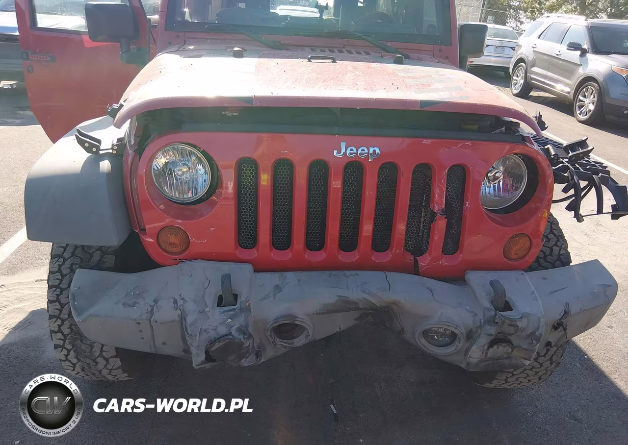 2009 Jeep Wrangler Unlimited Rubicon VIN:1J8GA69169L709983 - 6