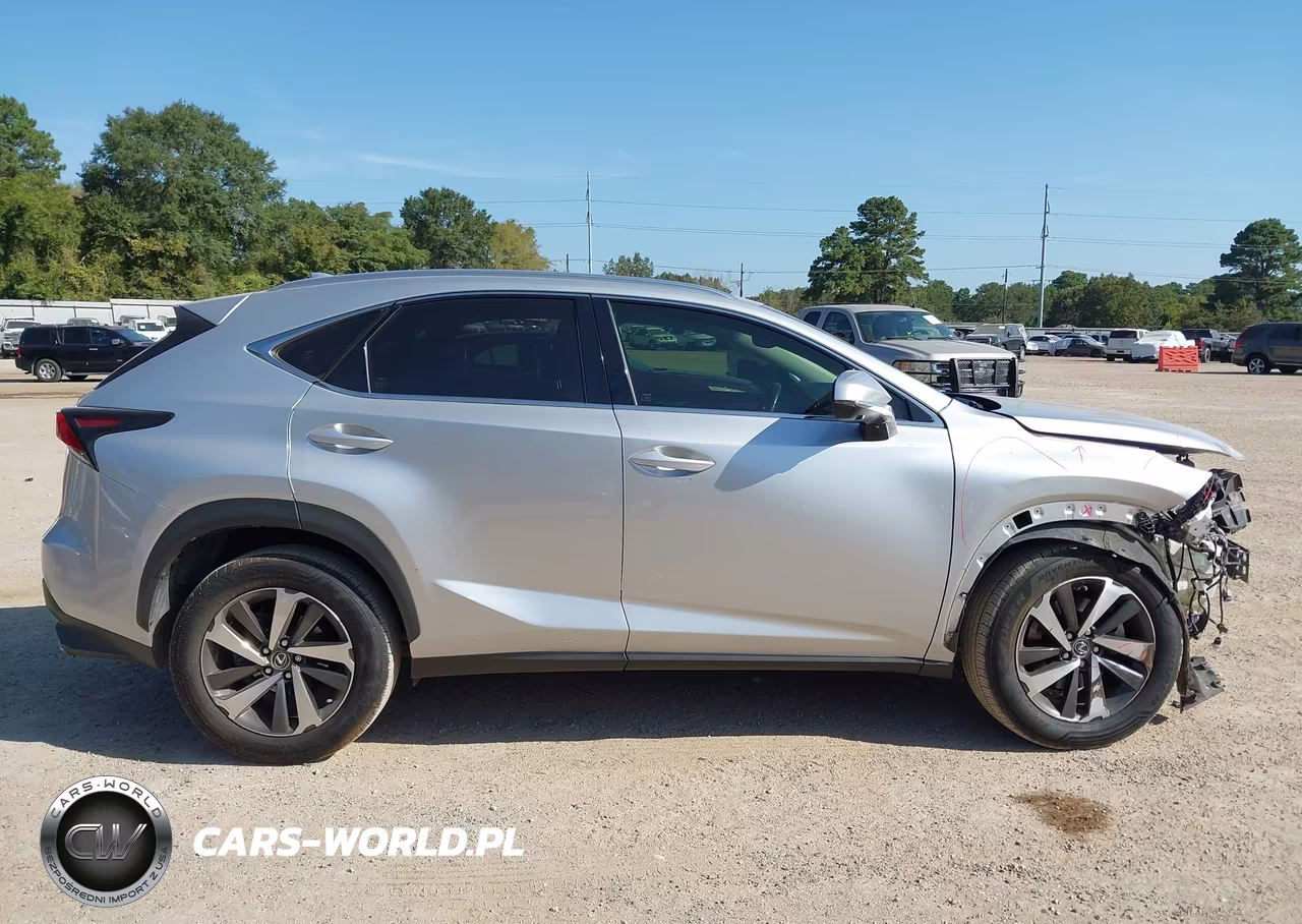 2019 Lexus Nx 300 VIN:JTJYARBZ1K2130969 - 14