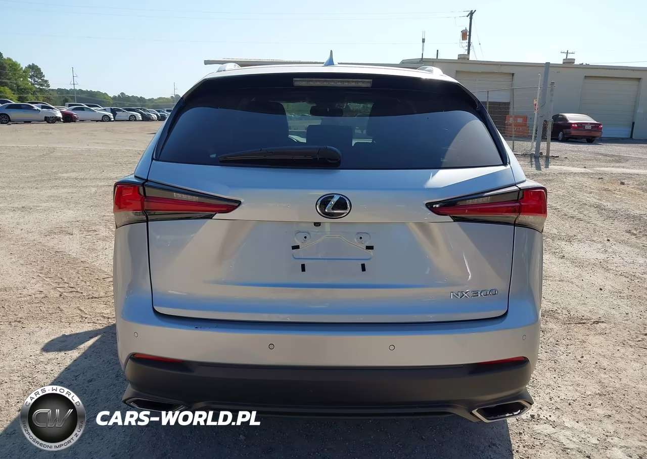 2019 Lexus Nx 300 VIN:JTJYARBZ1K2130969 - 17