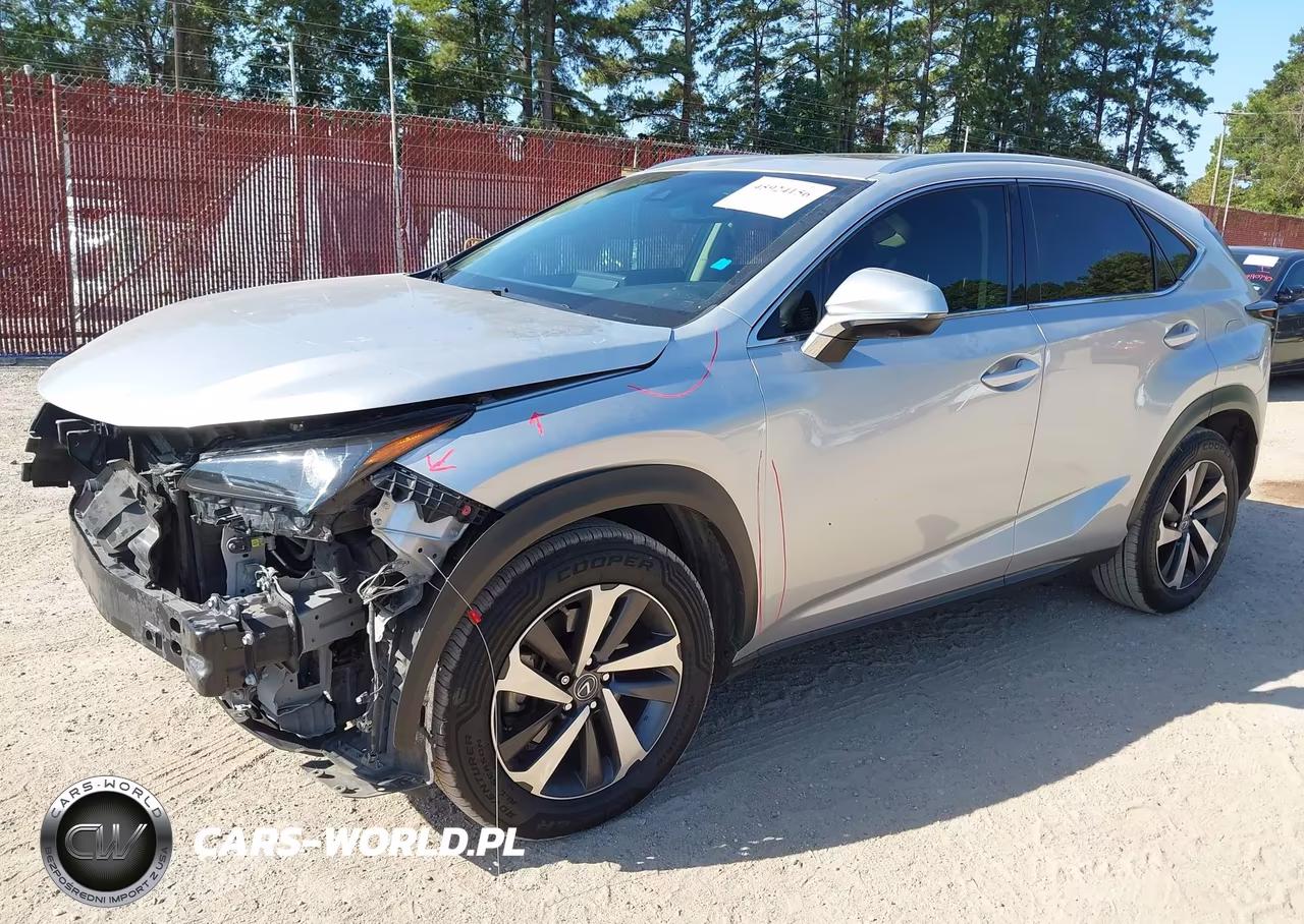 2019 Lexus Nx 300 VIN:JTJYARBZ1K2130969 - 2