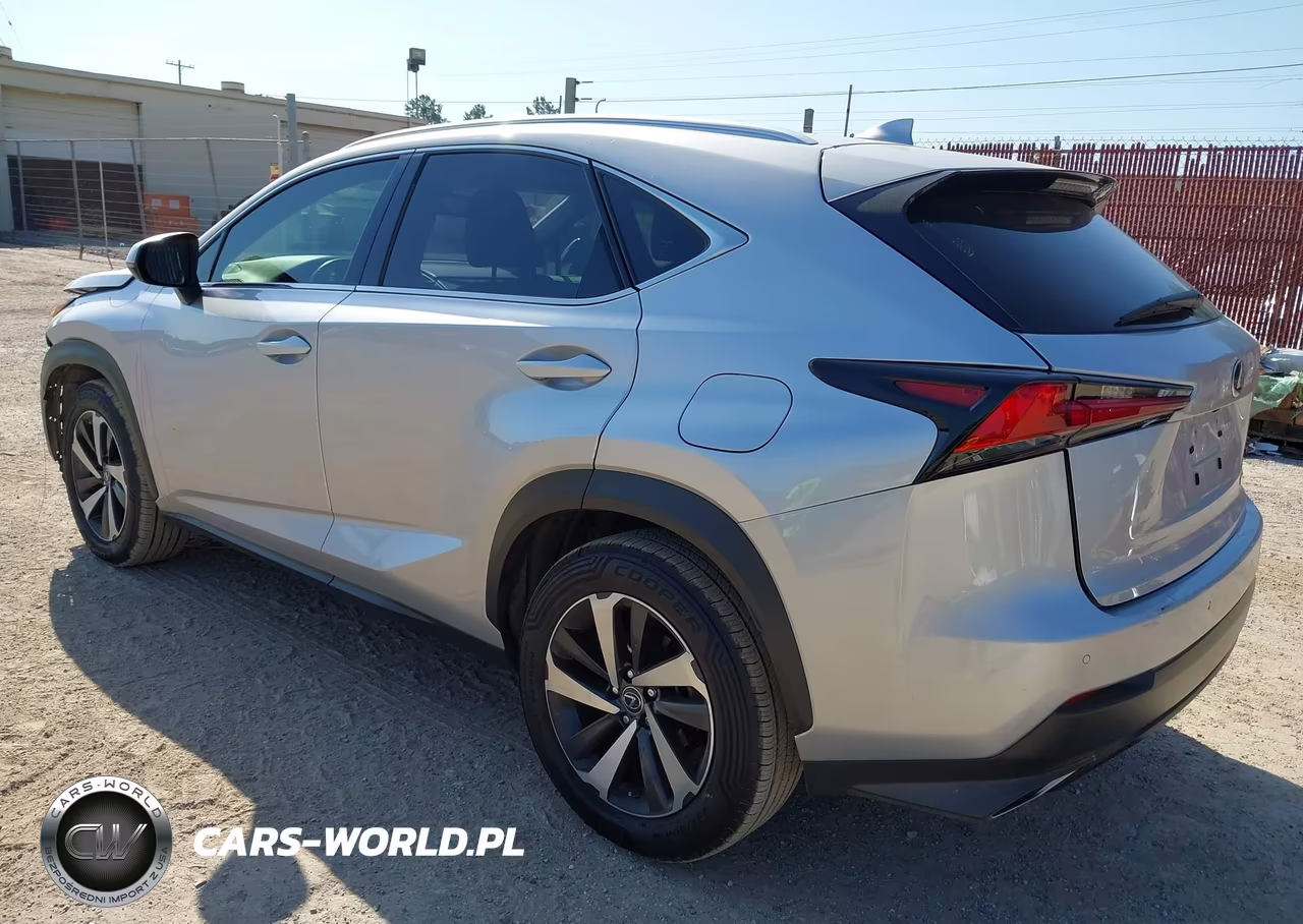 2019 Lexus Nx 300 VIN:JTJYARBZ1K2130969 - 3