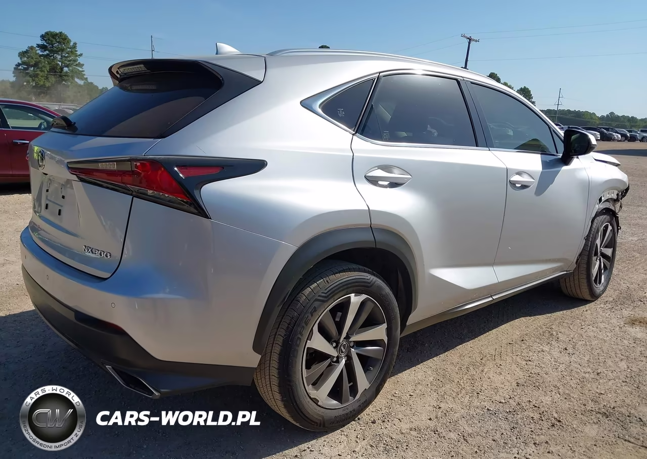2019 Lexus Nx 300 VIN:JTJYARBZ1K2130969 - 4