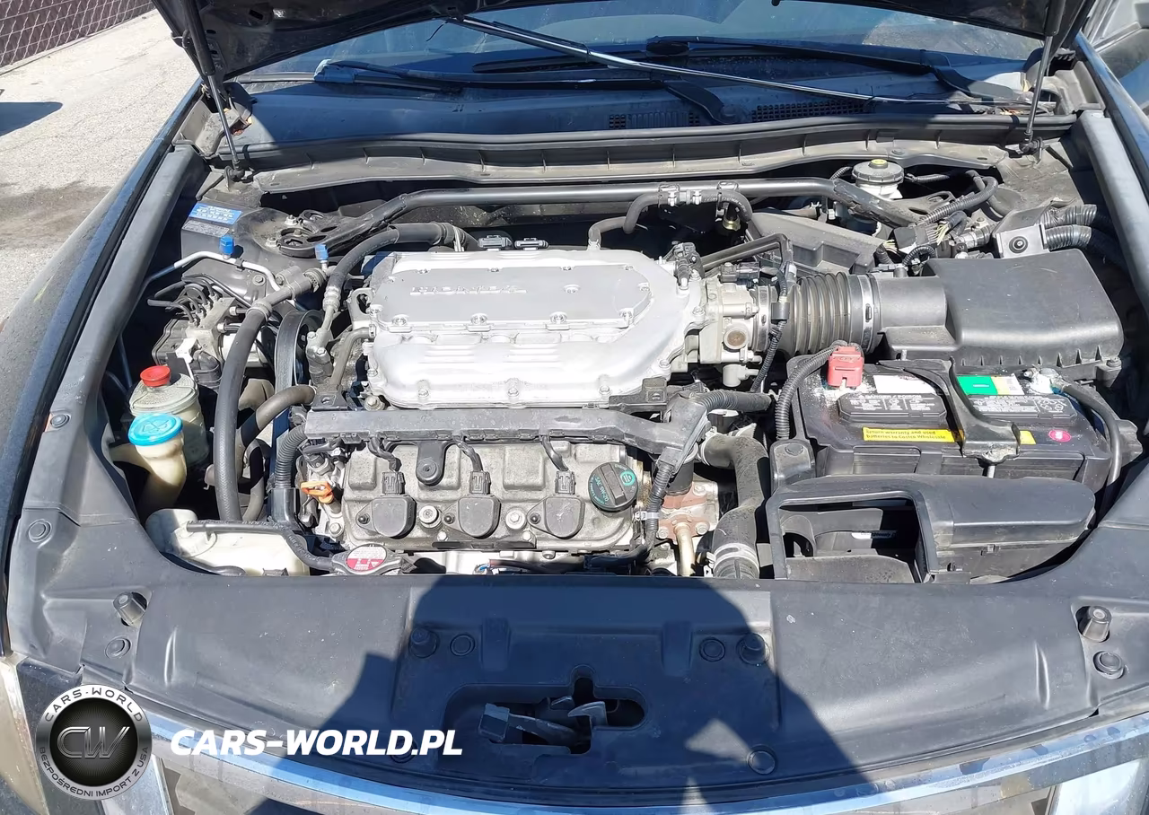 2010 Honda Accord 3.5 Ex-L VIN:1HGCP3F86AA029040 - 10