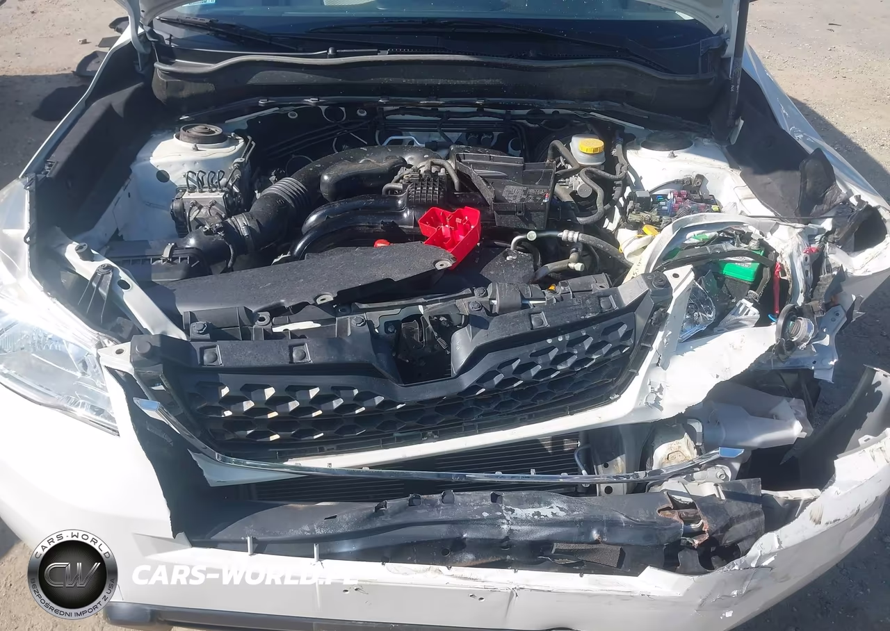 2016 Subaru Forester 2.5I VIN:JF2SJABC0GH476622 - 10
