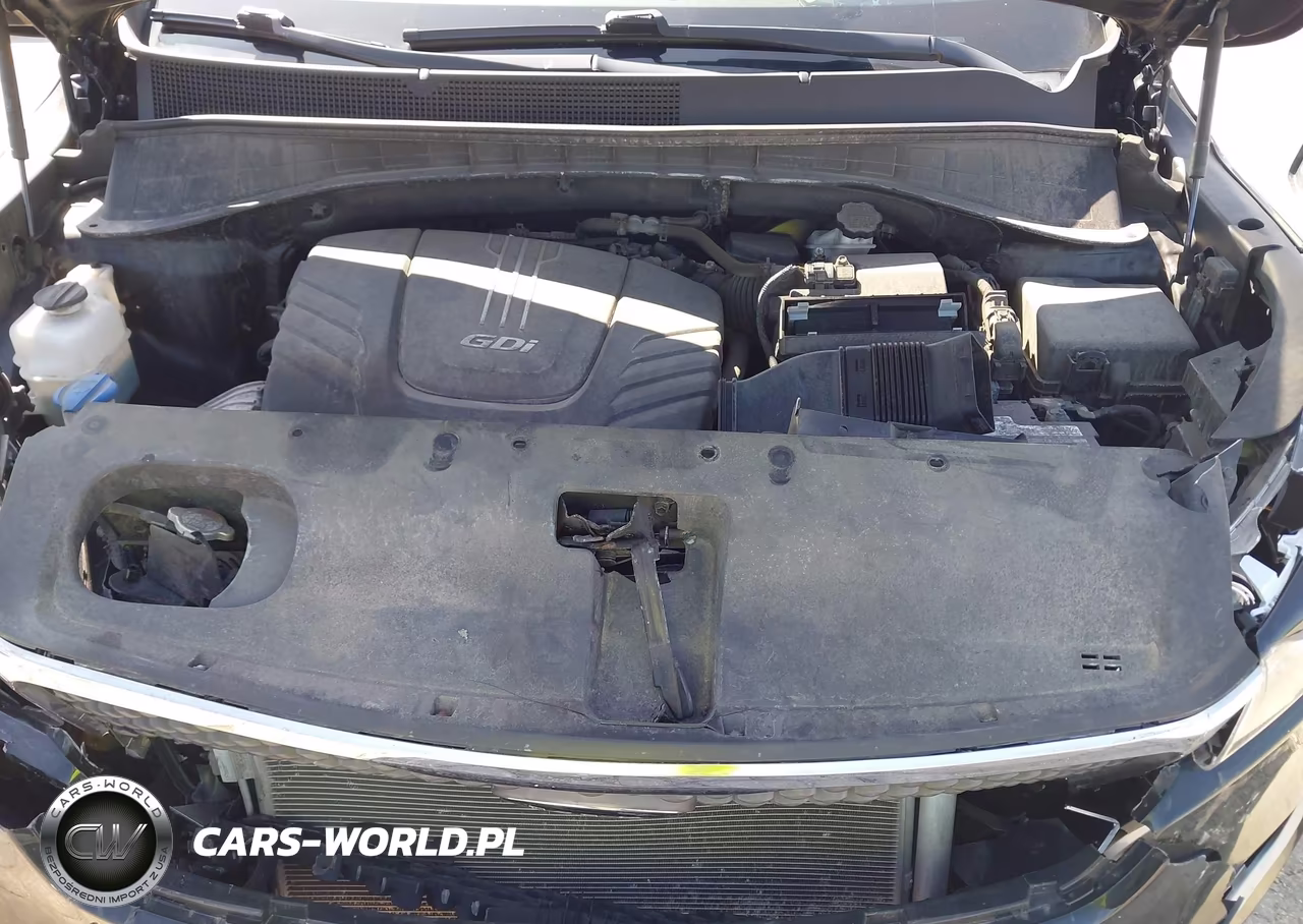 2018 Kia Sorento 3.3L Lx VIN:5XYPGDA50JG425922 - 10