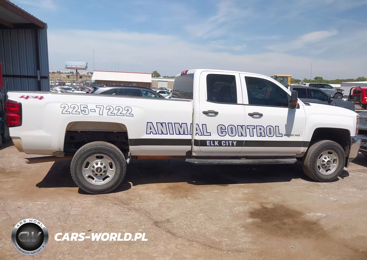 2019 Chevrolet Silverado 2500Hd Wt VIN:2GC2KREG0K1110907 - 13