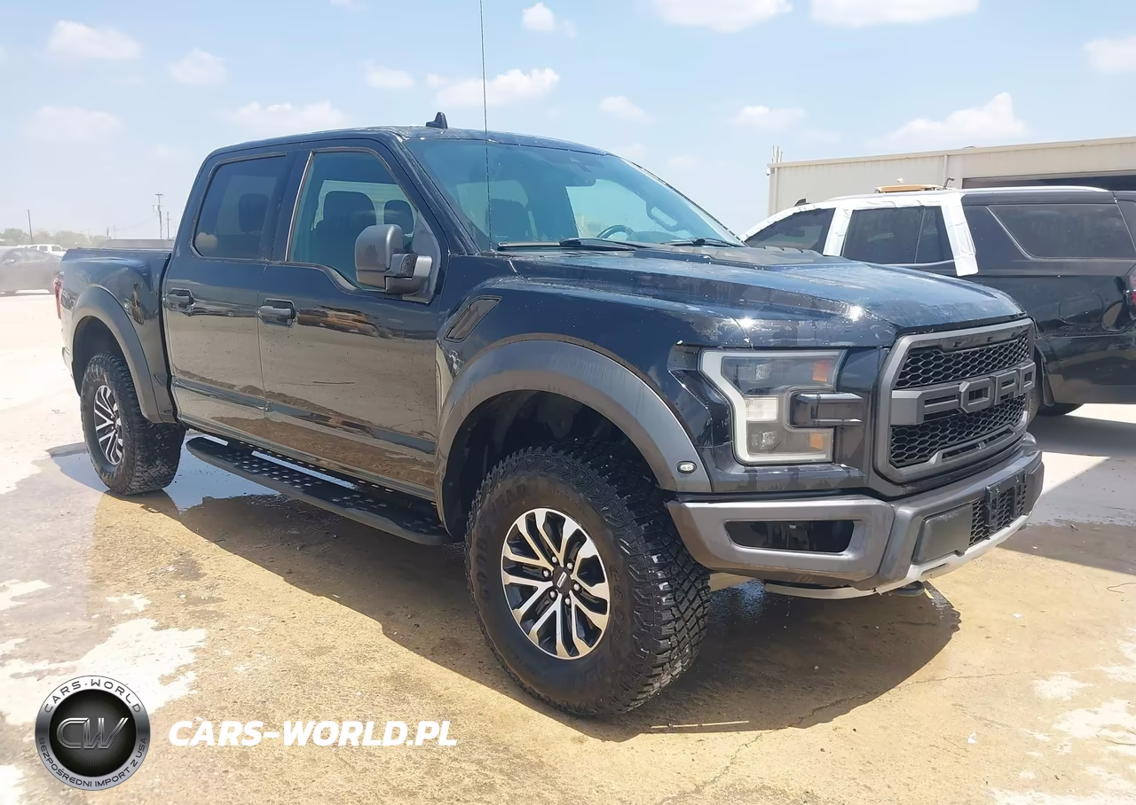 2019 Ford F-150 Raptor – zdjęcie 1 z 19