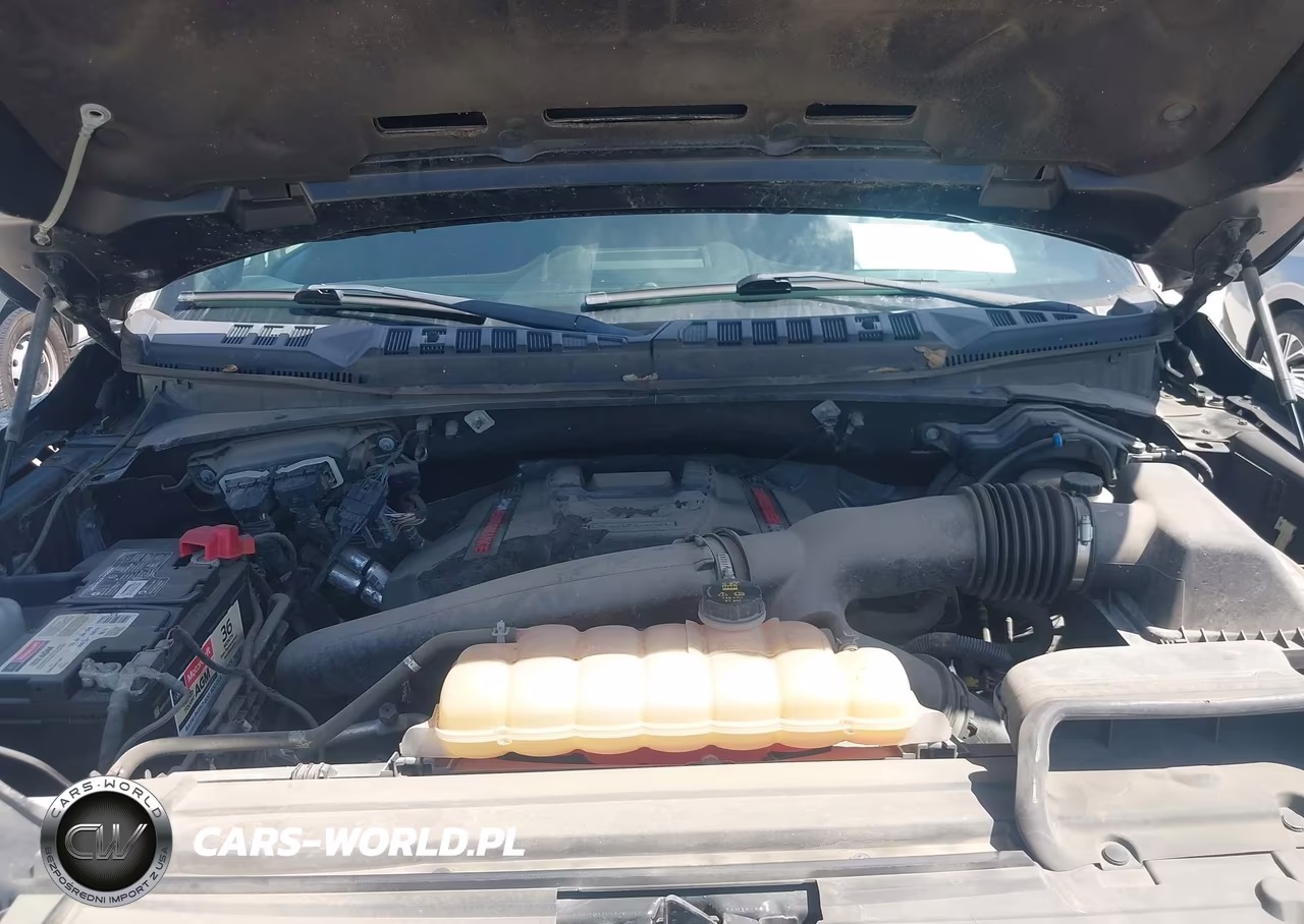 2019 Ford F-150 Raptor VIN:1FTFW1RG5KFA43912 - 10