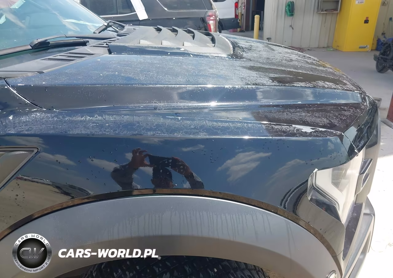 2019 Ford F-150 Raptor VIN:1FTFW1RG5KFA43912 - 12