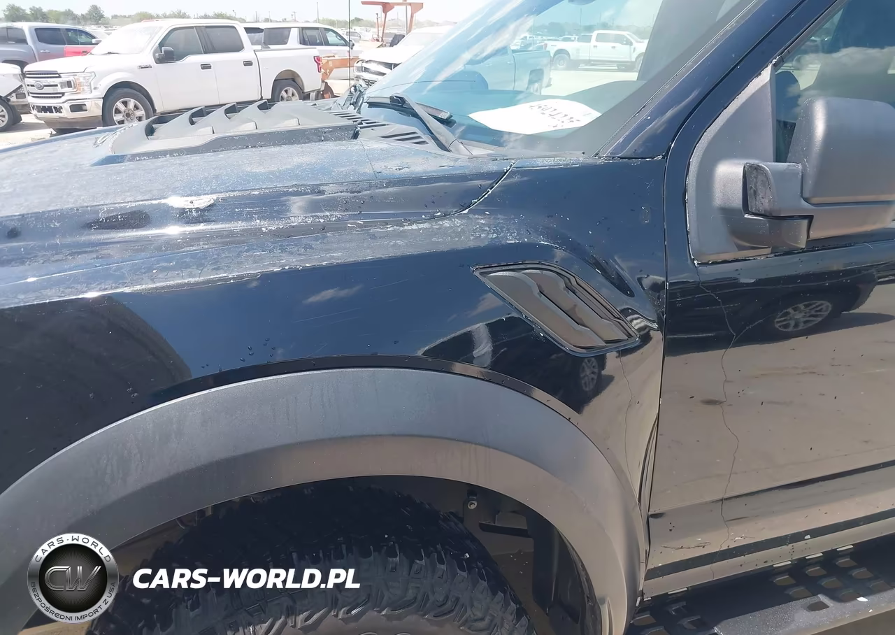 2019 Ford F-150 Raptor VIN:1FTFW1RG5KFA43912 - 13