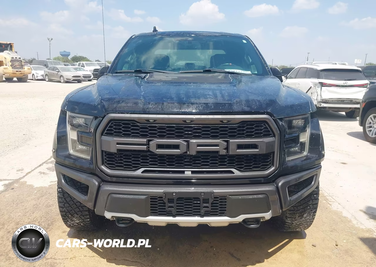2019 Ford F-150 Raptor VIN:1FTFW1RG5KFA43912 - 15