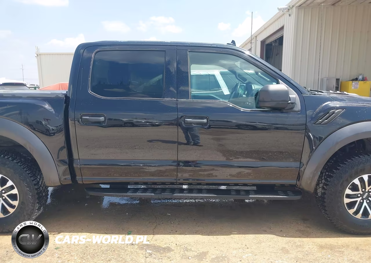 2019 Ford F-150 Raptor VIN:1FTFW1RG5KFA43912 - 16