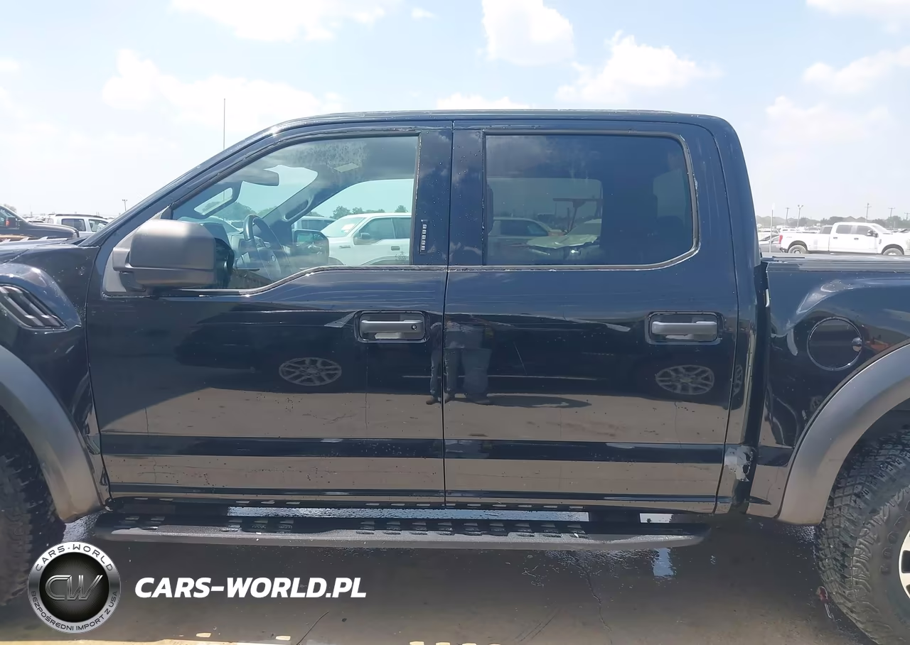 2019 Ford F-150 Raptor VIN:1FTFW1RG5KFA43912 - 17