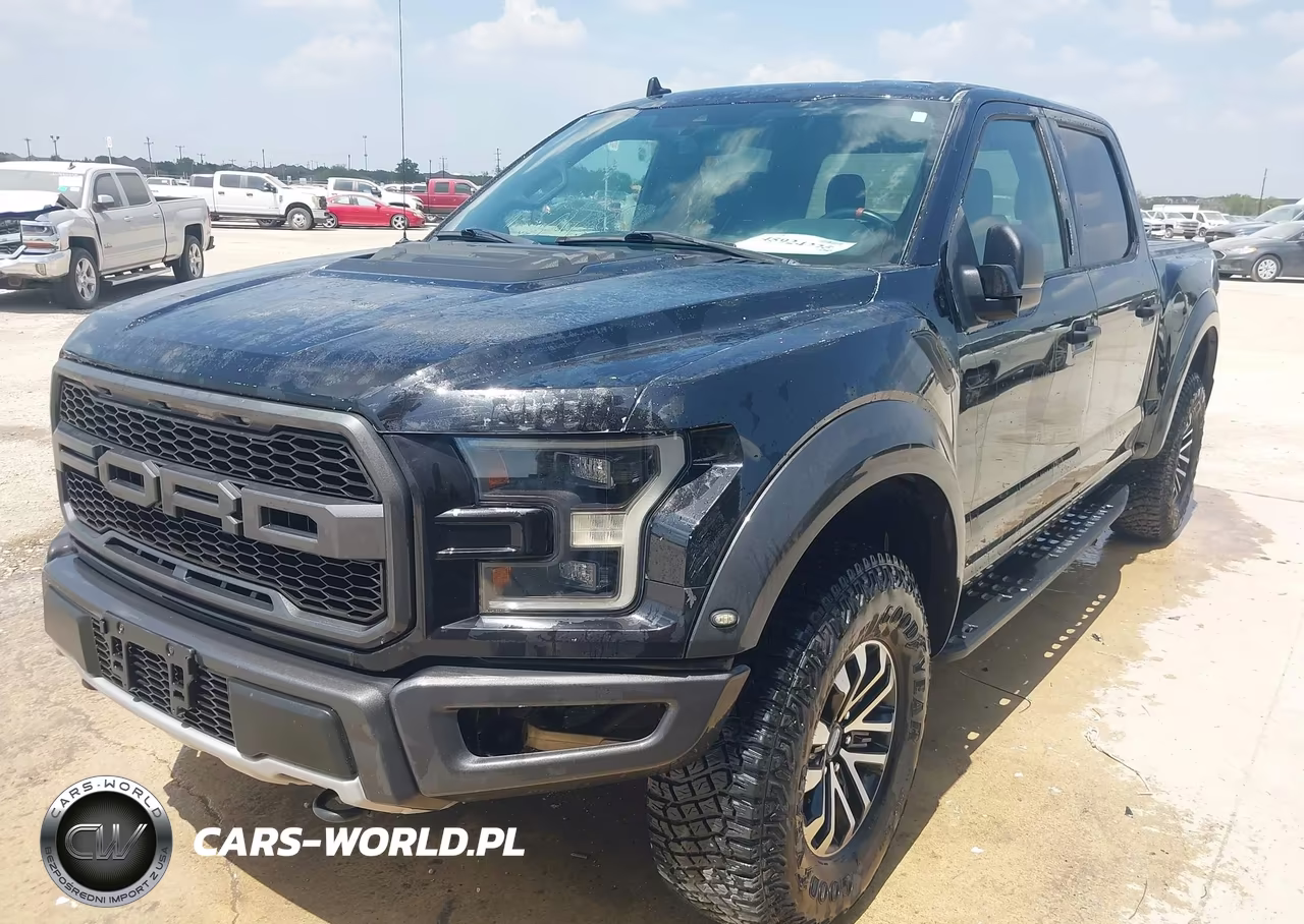 2019 Ford F-150 Raptor VIN:1FTFW1RG5KFA43912 - 2