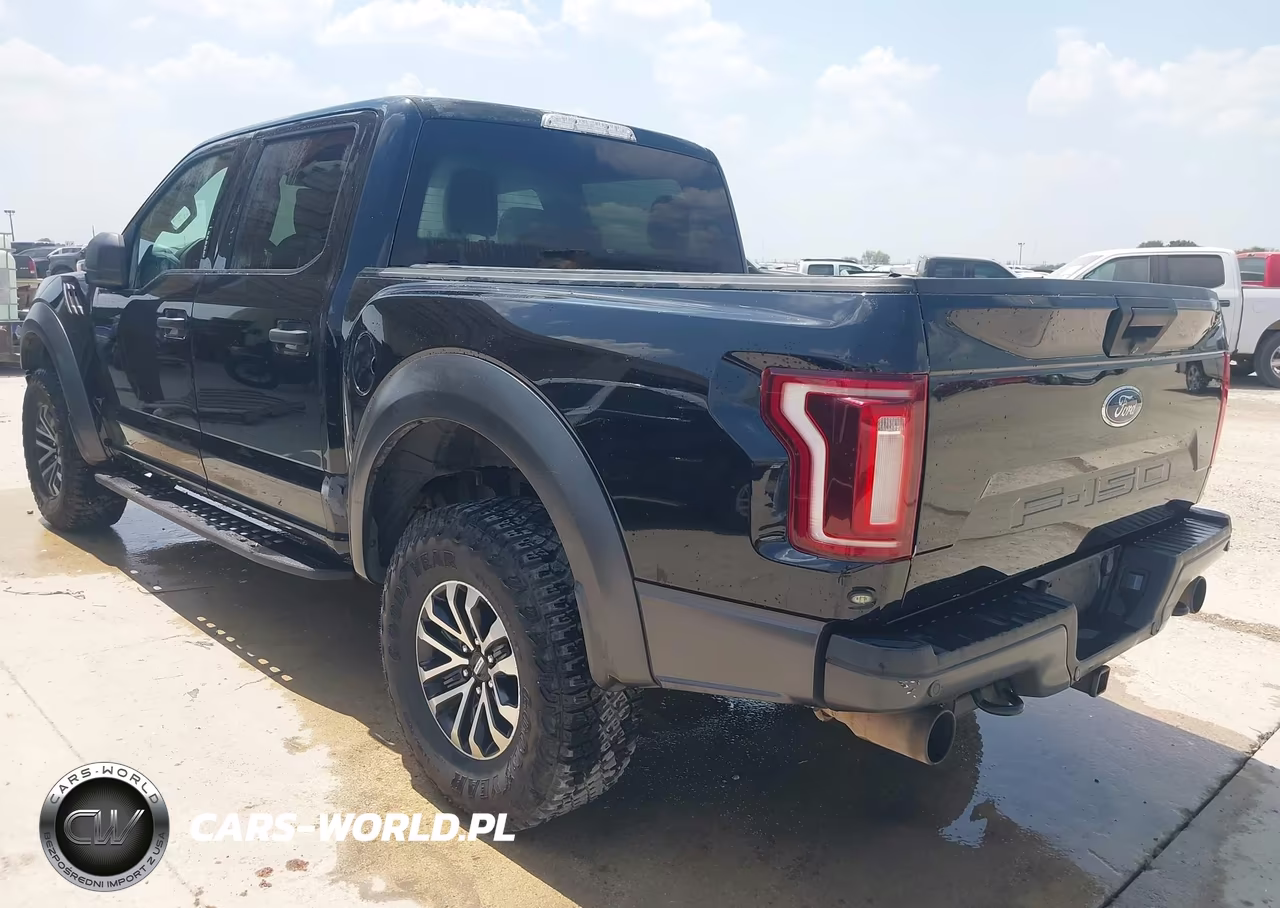 2019 Ford F-150 Raptor VIN:1FTFW1RG5KFA43912 - 3