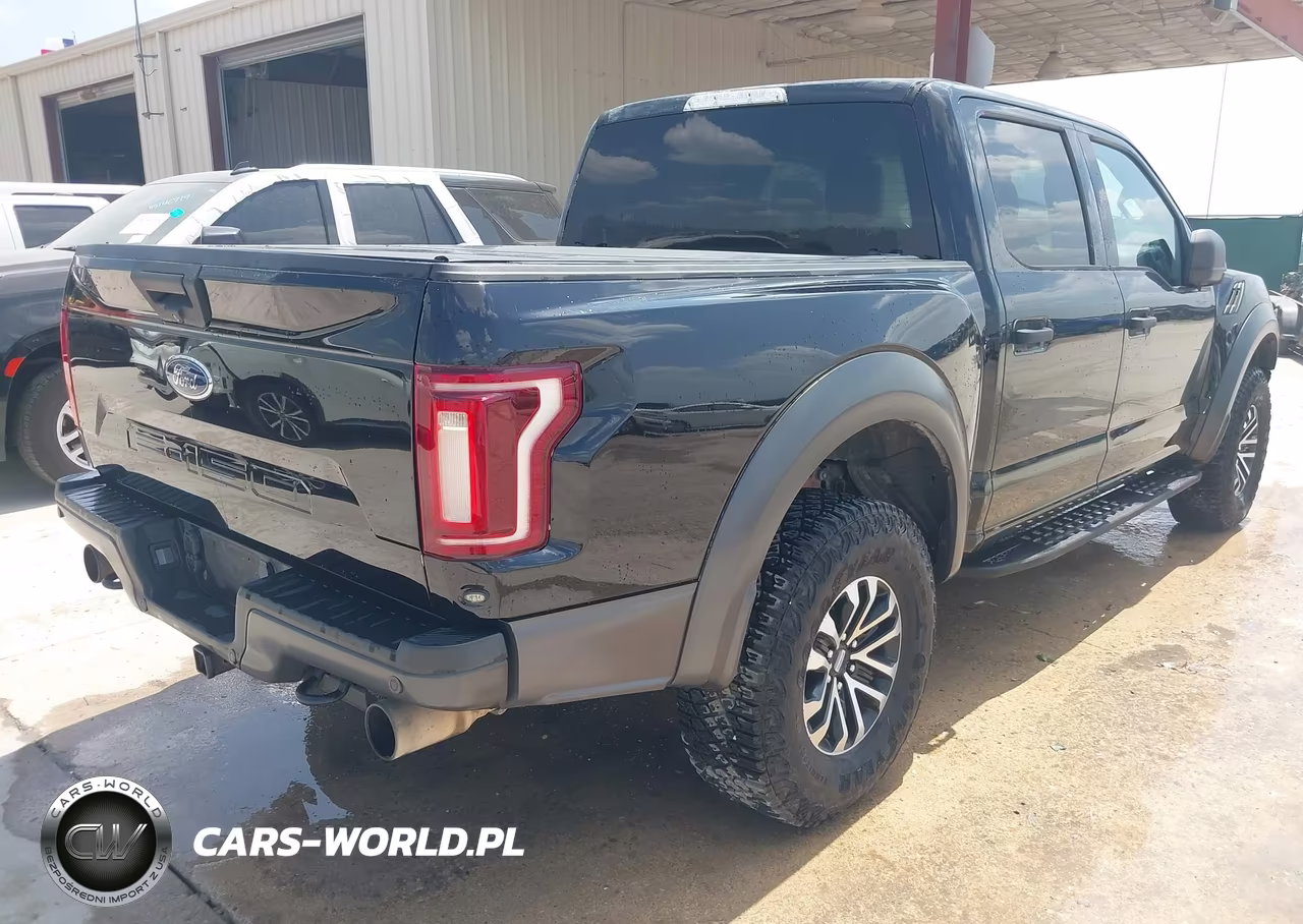 2019 Ford F-150 Raptor VIN:1FTFW1RG5KFA43912 - 4