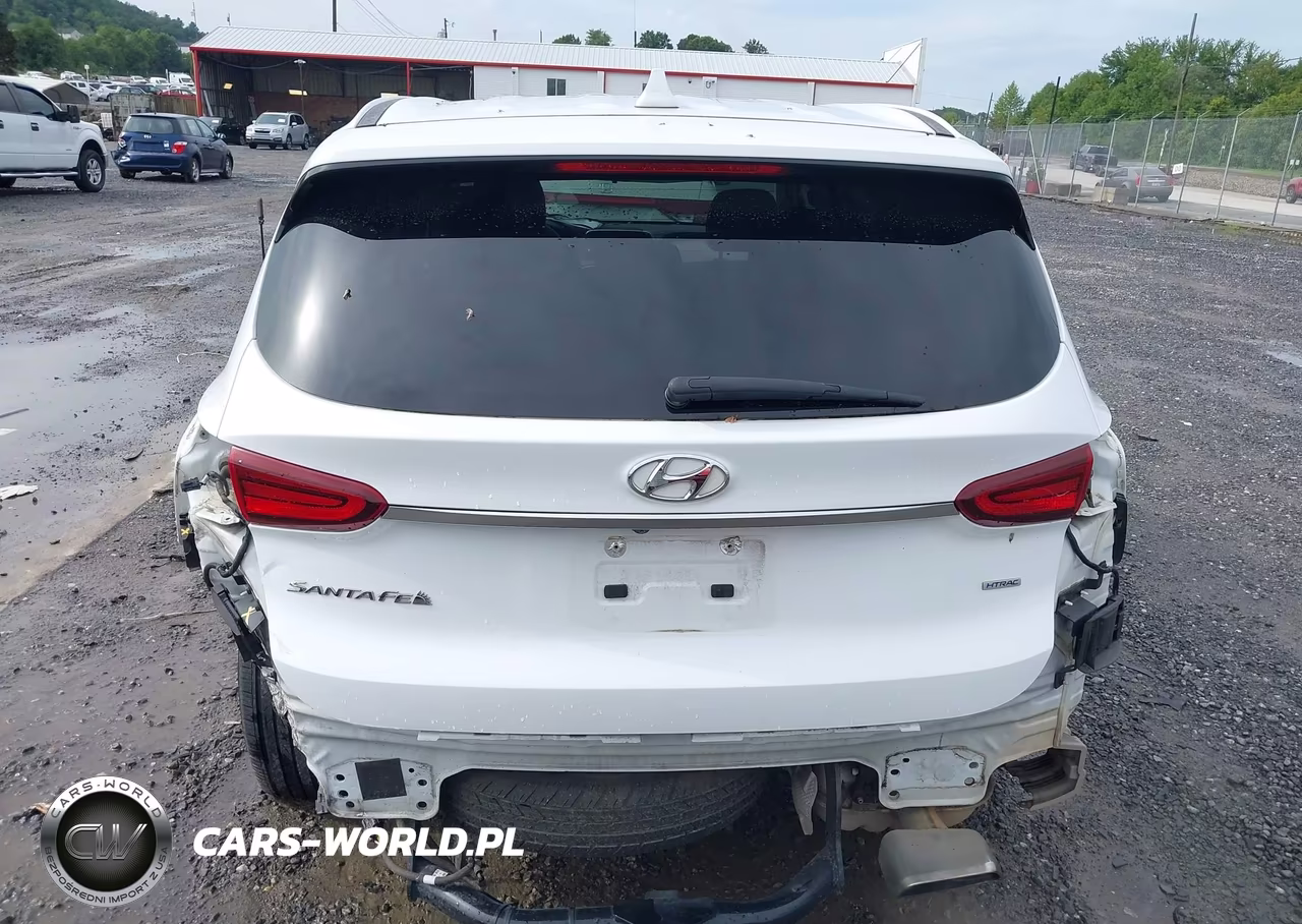 2020 Hyundai Santa Fe Sel VIN:5NMS3CAD4LH202329 - 17