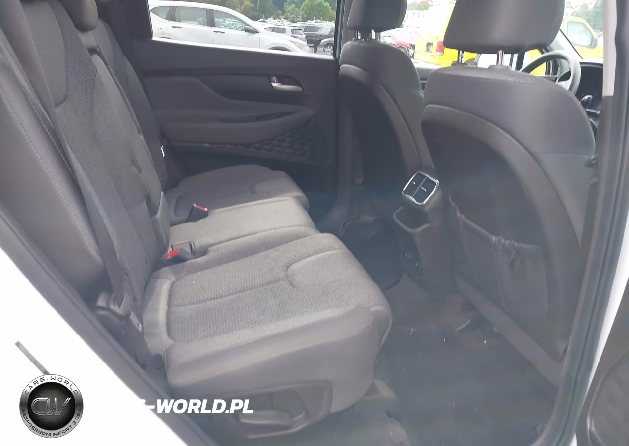 2020 Hyundai Santa Fe Sel VIN:5NMS3CAD4LH202329 - 8