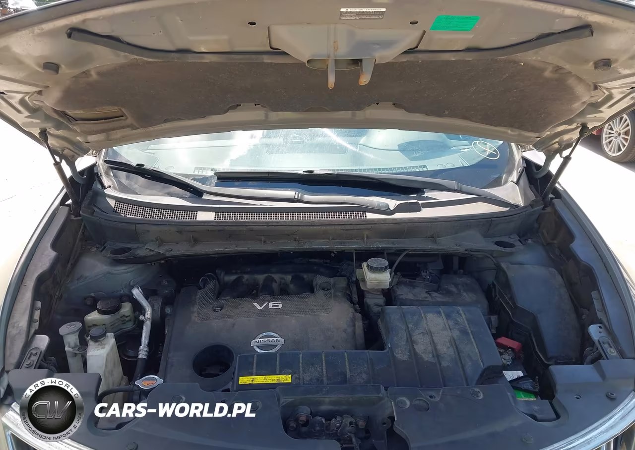 2010 Nissan Murano Le VIN:JN8AZ1MW5AW127411 - 9