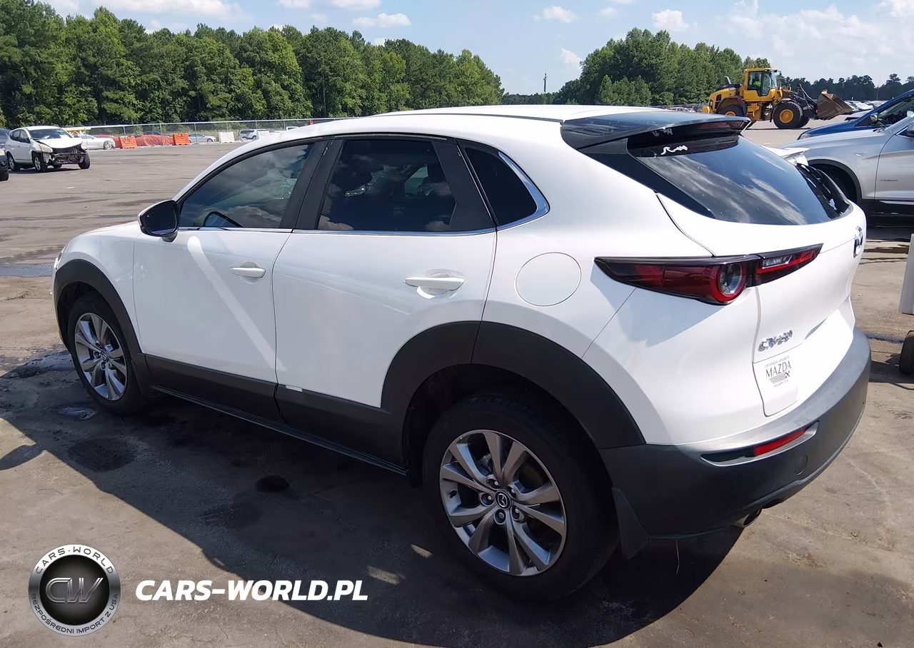 2021 Mazda Cx-30 Select VIN:3MVDMABL5MM221923 - 3
