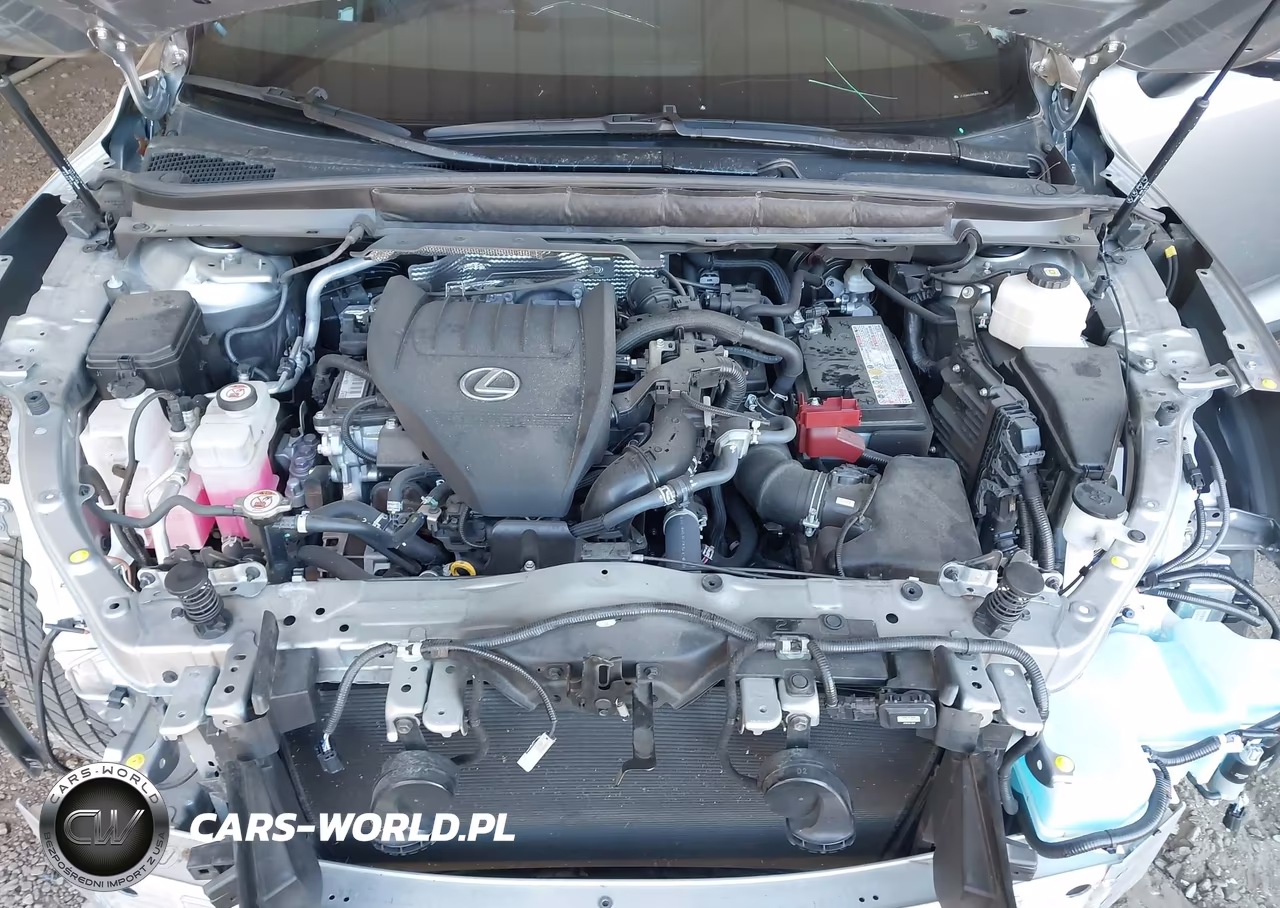 2024 Lexus Rx 350 Premium Plus VIN:JTJCHMAA2R2012766 - 10