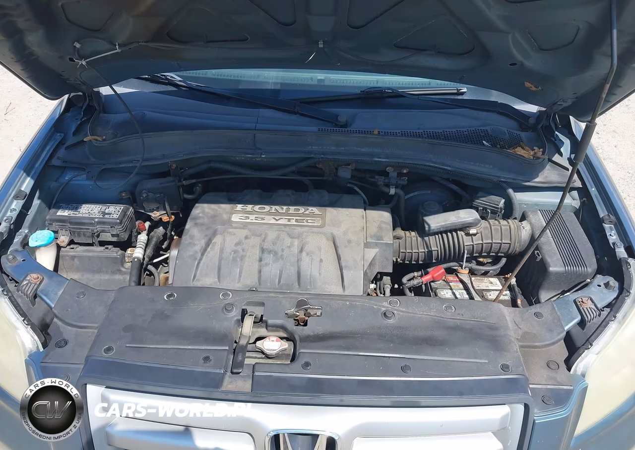 2006 Honda Pilot Ex-L VIN:5FNYF18536B021202 - 10