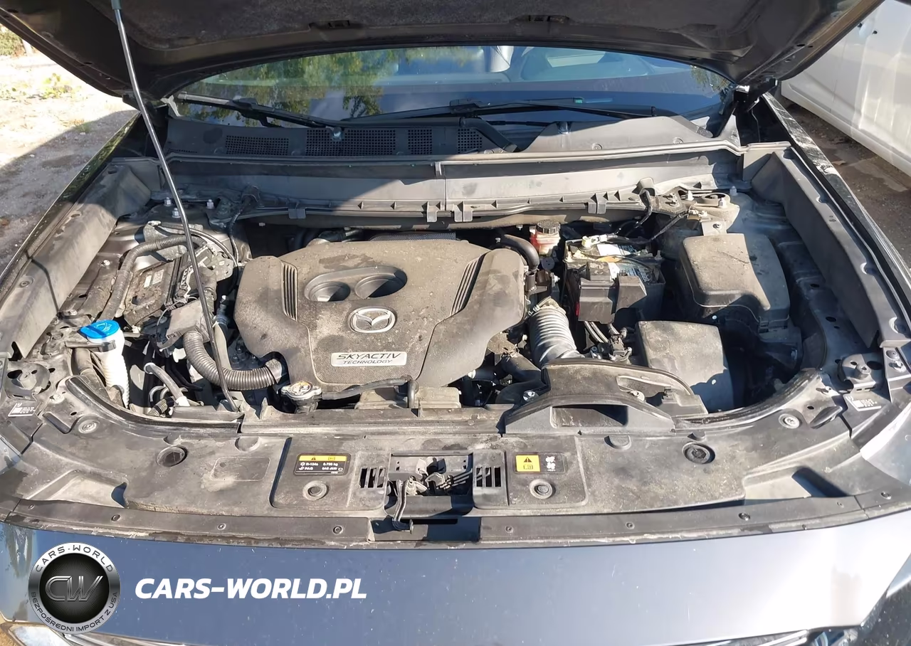 2018 Mazda Cx-9 Grand Touring VIN:JM3TCBDY4J0216443 - 10