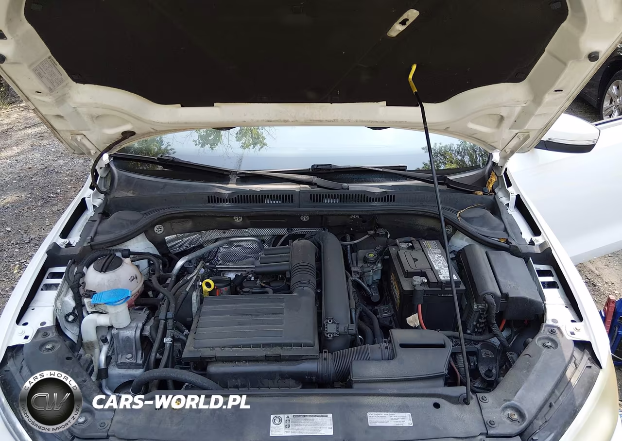 2016 Volkswagen Jetta 1.4T Se VIN:3VWD67AJ3GM339372 - 10