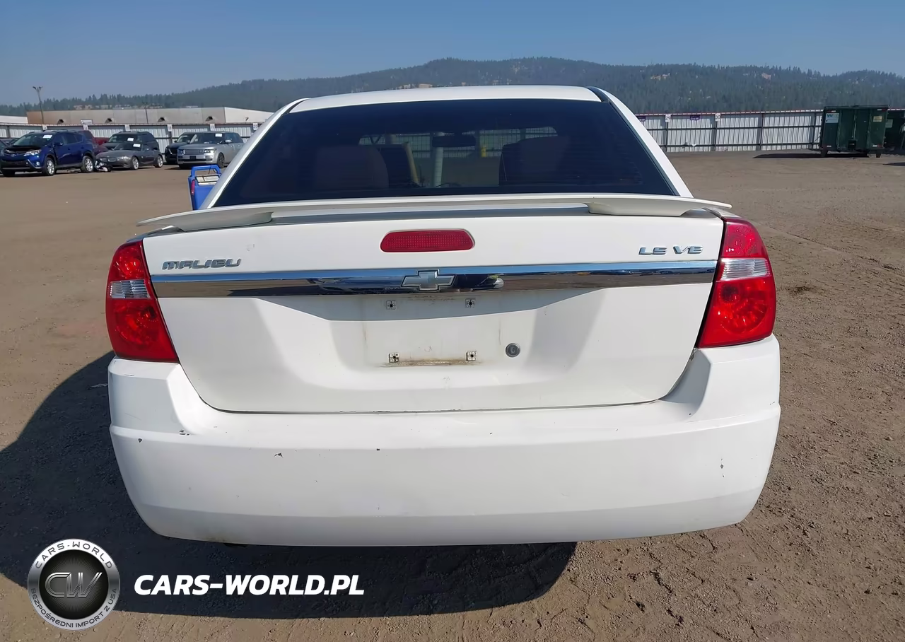 2005 Chevrolet Malibu Ls VIN:1G1ZT52845F298659 - 16