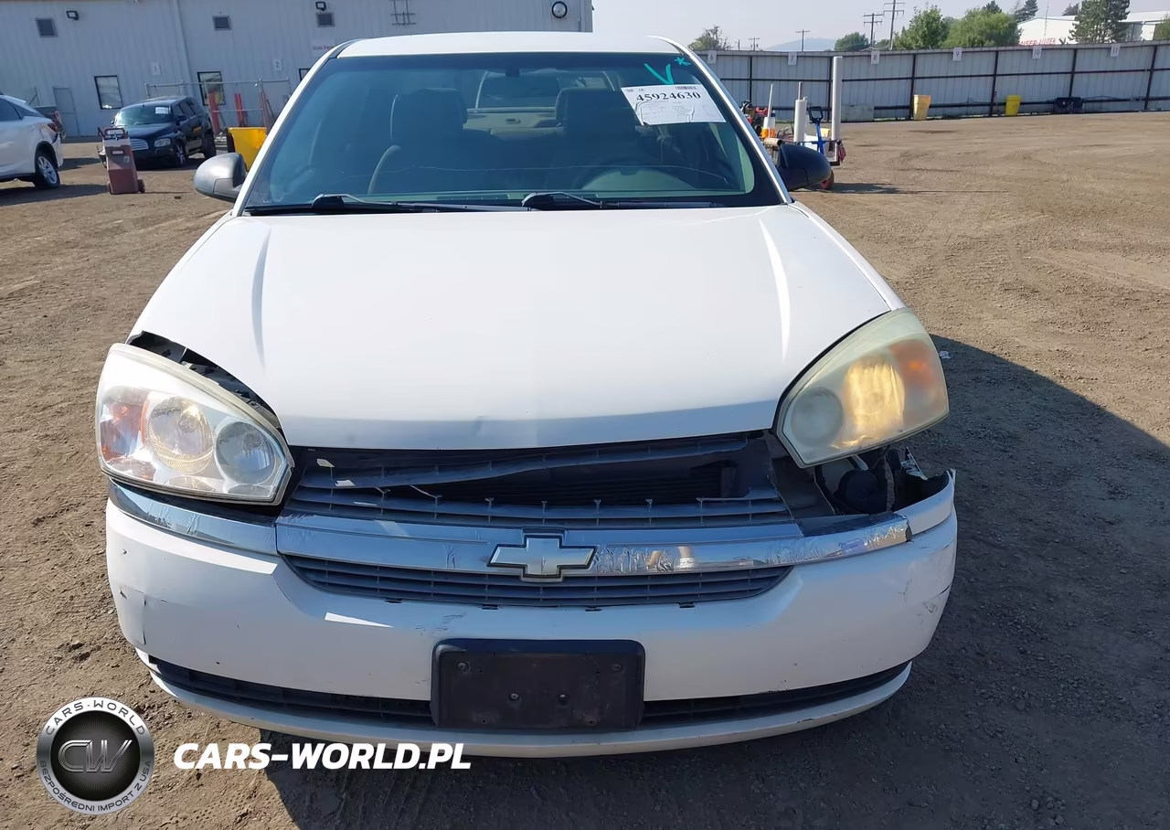 2005 Chevrolet Malibu Ls VIN:1G1ZT52845F298659 - 17