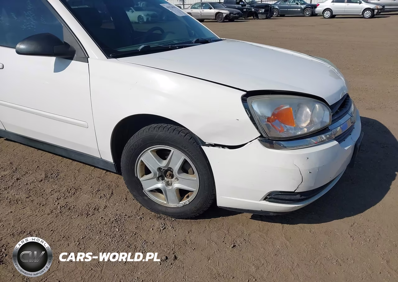 2005 Chevrolet Malibu Ls VIN:1G1ZT52845F298659 - 18