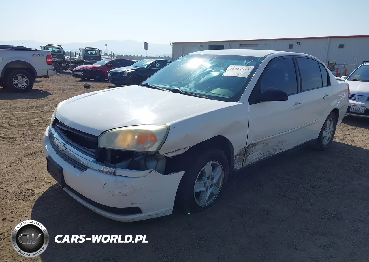 2005 Chevrolet Malibu Ls VIN:1G1ZT52845F298659 - 2