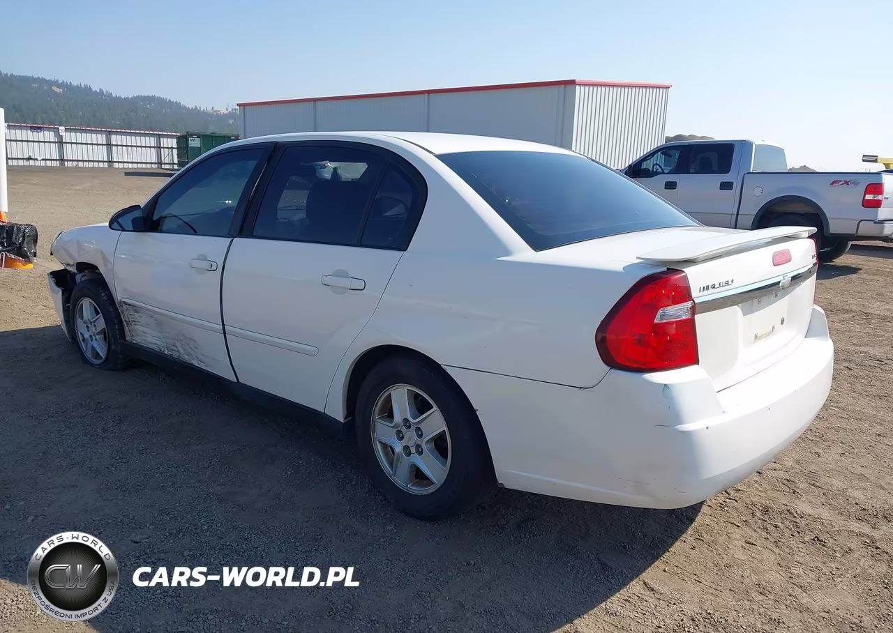 2005 Chevrolet Malibu Ls VIN:1G1ZT52845F298659 - 3