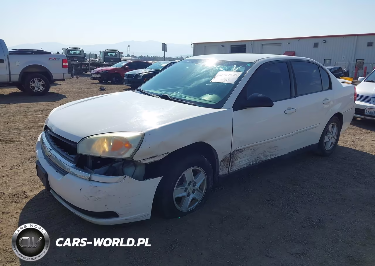 2005 Chevrolet Malibu Ls VIN:1G1ZT52845F298659 - 6