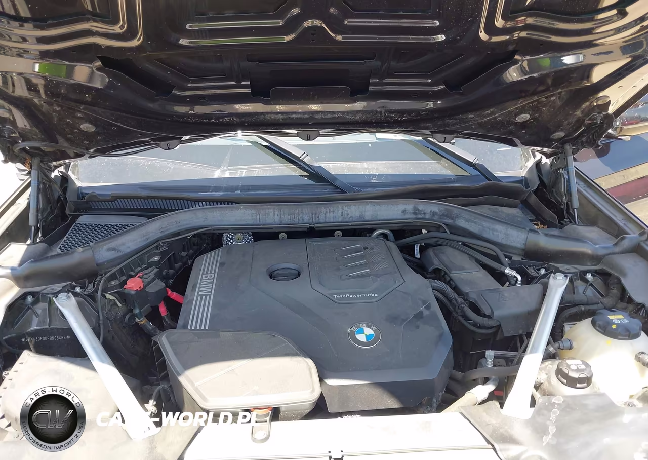 2023 BMW X3 Sdrive30I VIN:5UX43DP00P9N86466 - 10