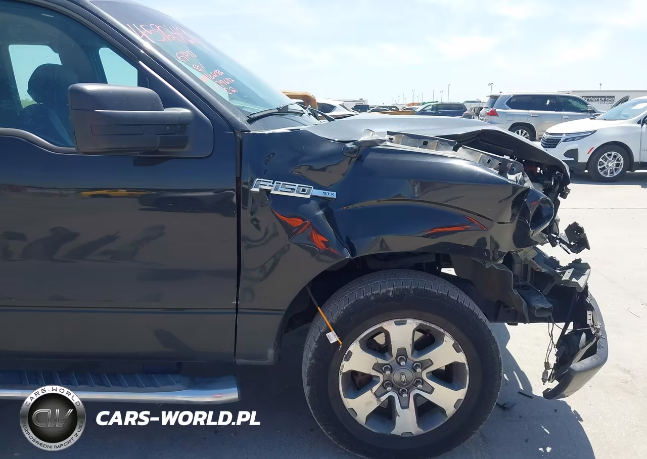 2014 Ford F-150 Stx VIN:1FTEX1CM5EKD79692 - 6
