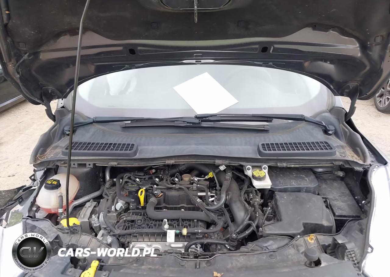 2019 Ford Escape Se VIN:1FMCU0GD2KUA14435 - 10