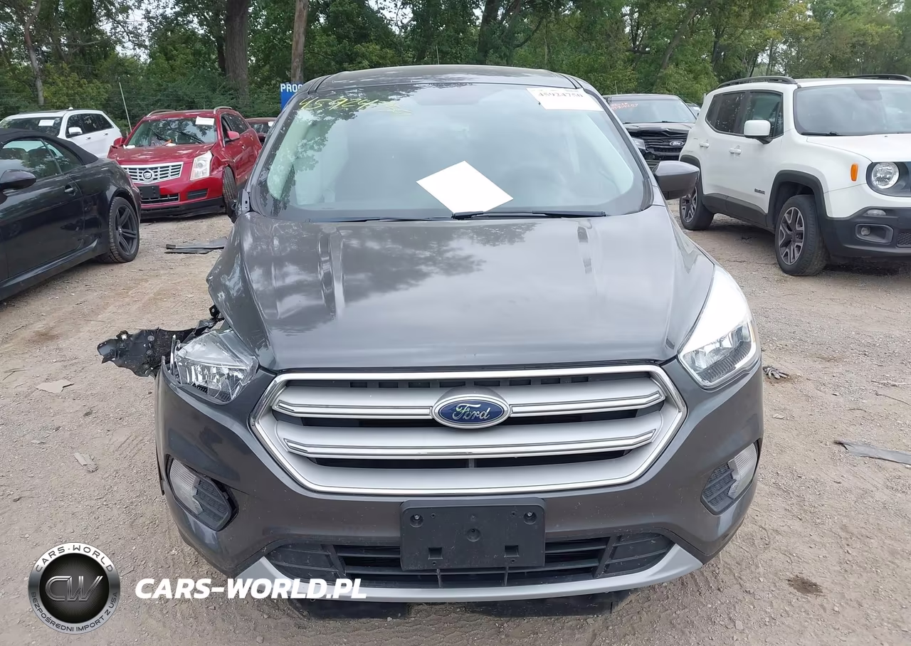 2019 Ford Escape Se VIN:1FMCU0GD2KUA14435 - 12
