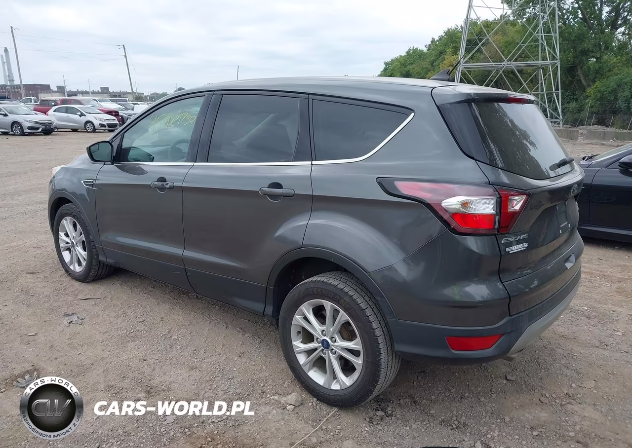 2019 Ford Escape Se VIN:1FMCU0GD2KUA14435 - 3
