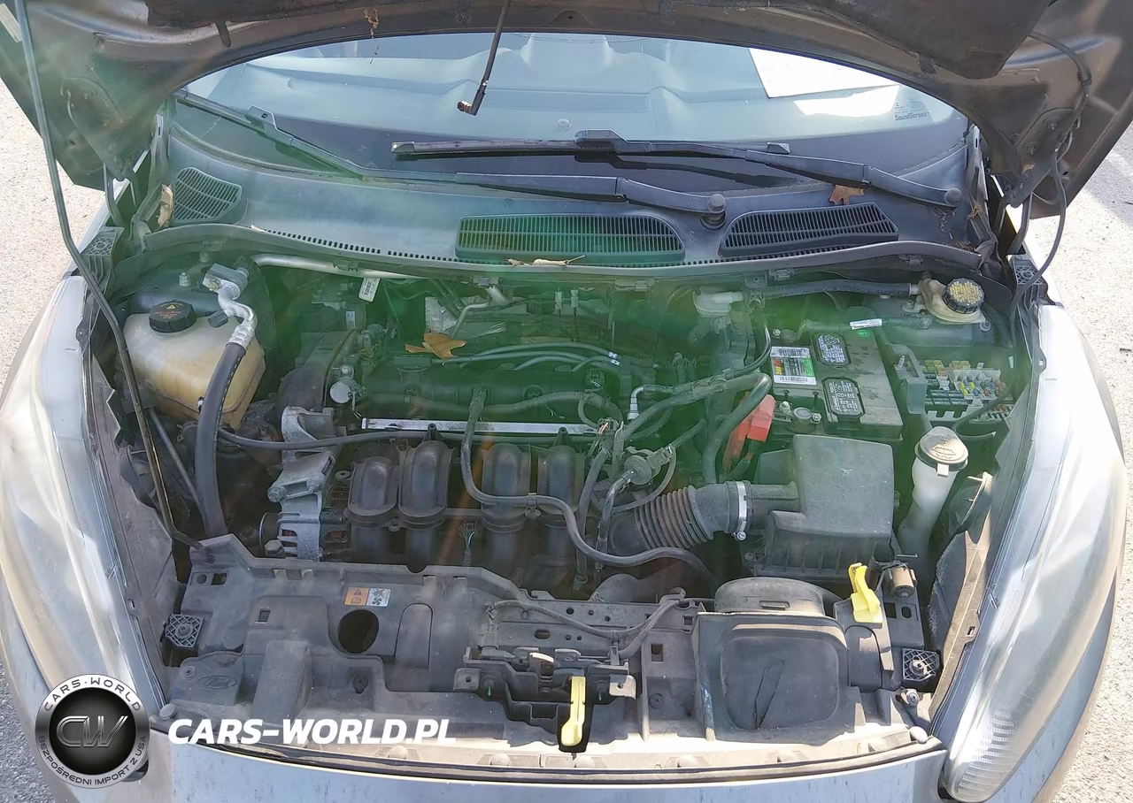 2014 Ford Fiesta Se VIN:3FADP4EJ2EM145699 - 10