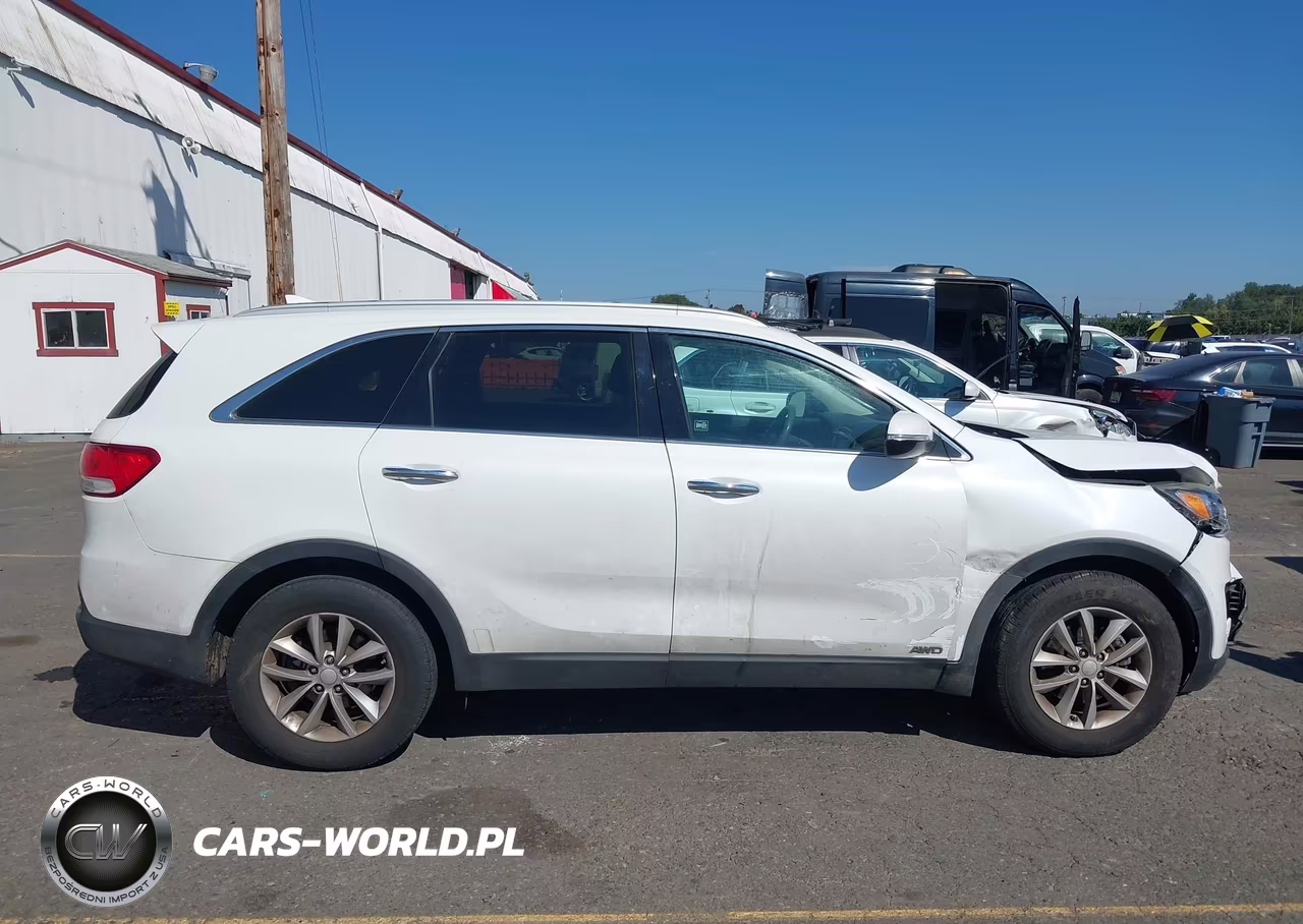 2018 Kia Sorento 2.4L Lx VIN:5XYPGDA33JG367609 - 13