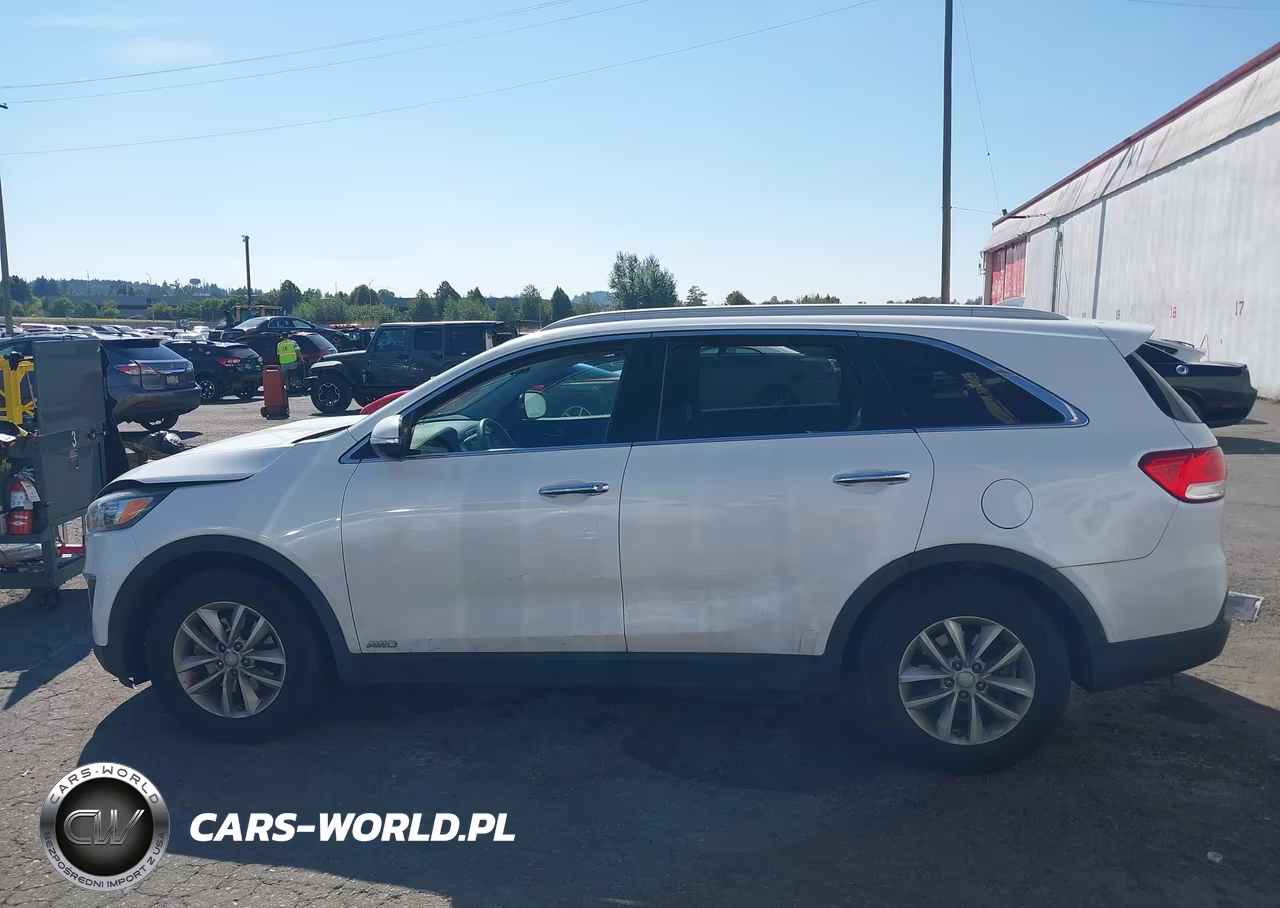 2018 Kia Sorento 2.4L Lx VIN:5XYPGDA33JG367609 - 14