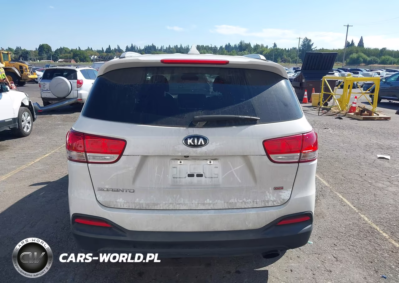 2018 Kia Sorento 2.4L Lx VIN:5XYPGDA33JG367609 - 16